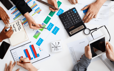 Is your auditor or consultant anything like the OPM OIG?